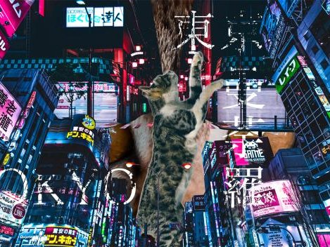 東京曼荼羅